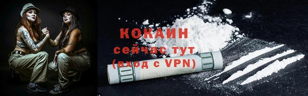 гидра Пересвет
