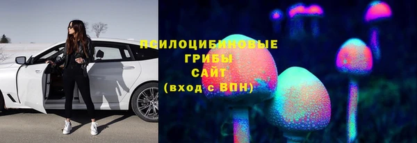 мяу мяу кристалл Переславль-Залесский