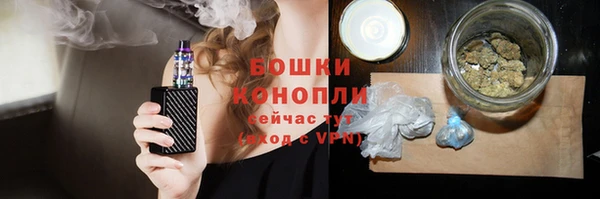 гидра Пересвет