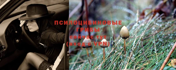 a pvp Покачи