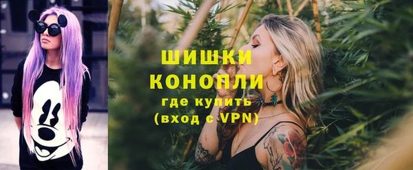 гидра Пересвет