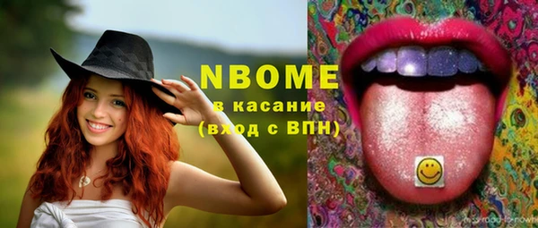 гидра Пересвет