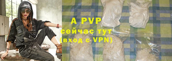 гидра Пересвет