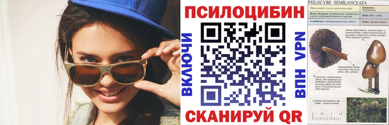 mega tor  Кореновск  Галлюциногенные грибы GOLDEN TEACHER  магазин продажи  