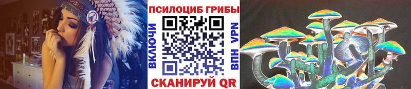 Галлюциногенные грибы Psilocybine cubensis Кореновск