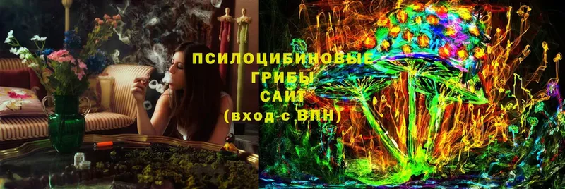 где купить наркотик  Кореновск  Псилоцибиновые грибы Psilocybine cubensis 