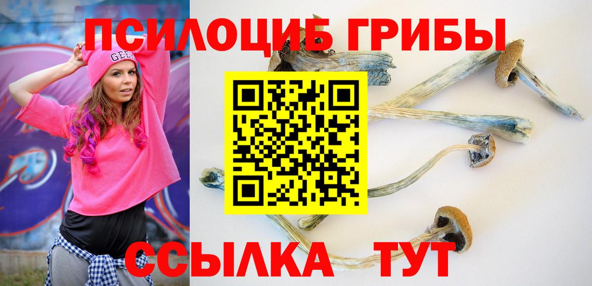 Галлюциногенные грибы GOLDEN TEACHER Кореновск