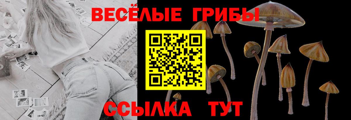 Псилоцибиновые грибы GOLDEN TEACHER  наркотики  Кореновск  Галлюциногенные грибы ЛСД  Вход с VPN 